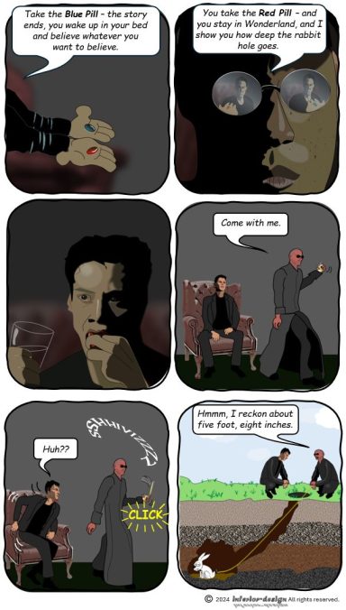 Blue Pill Red Pill