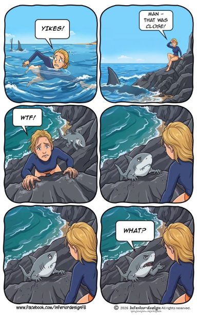 Shark! Shark!