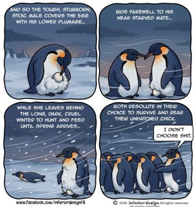 Penguins Penguins